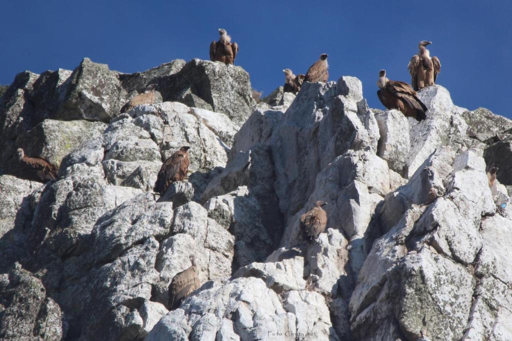 Sierra De Monfrague Apartment ตอร์เรฮอน เอล รูบิโอ ภายนอก รูปภาพ